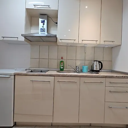 Royal Apartament Golubăţ